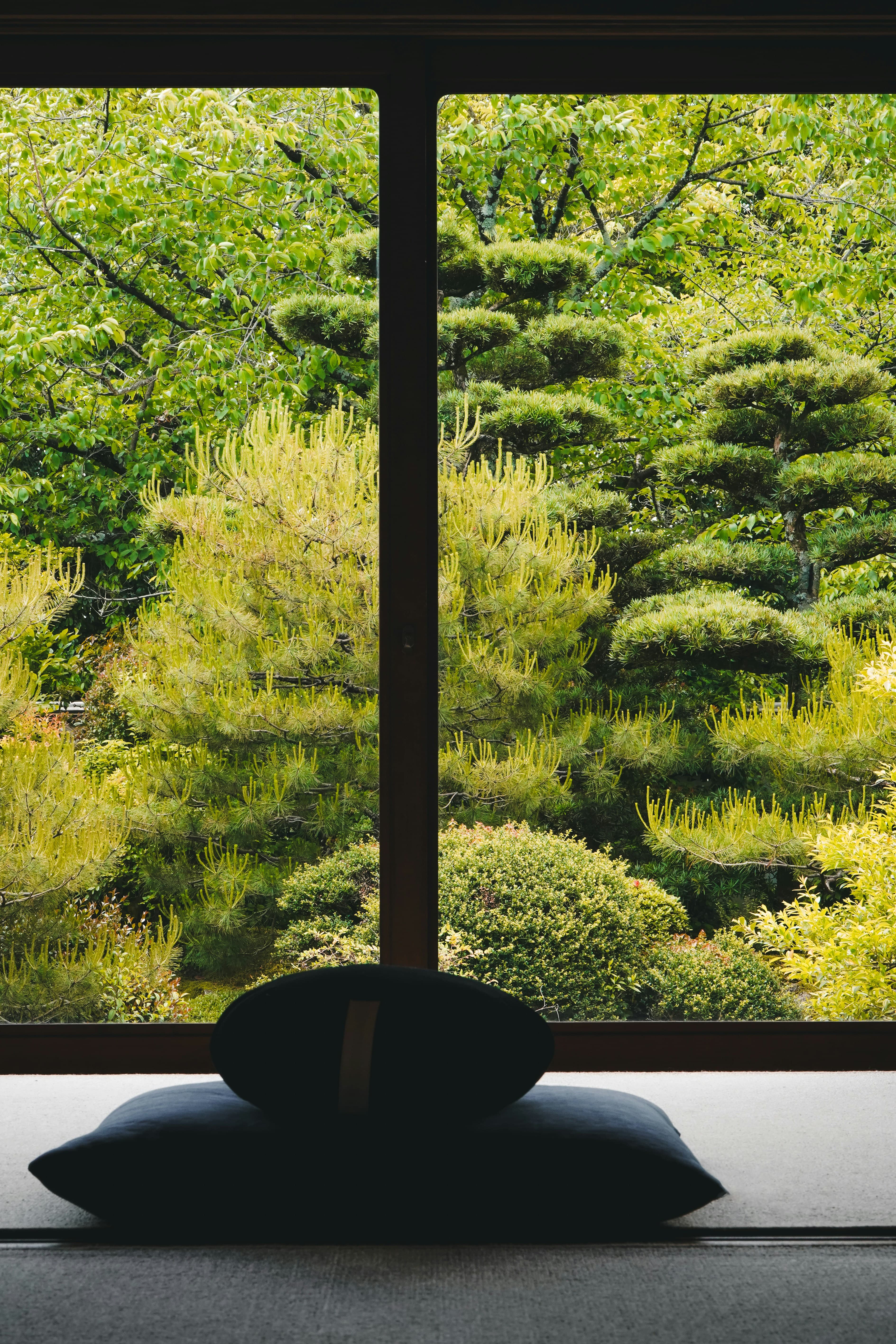 Japanese wellness atmosphere